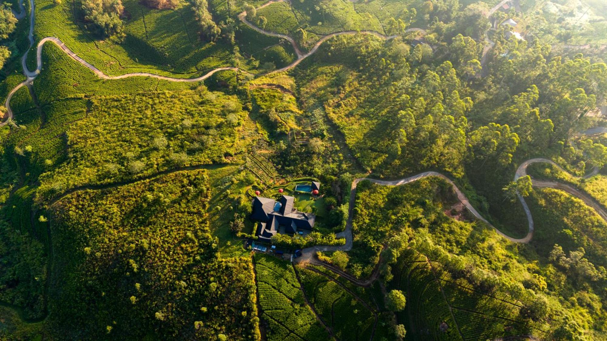 Camellia Hills Hotell Hatton Eksteriør bilde