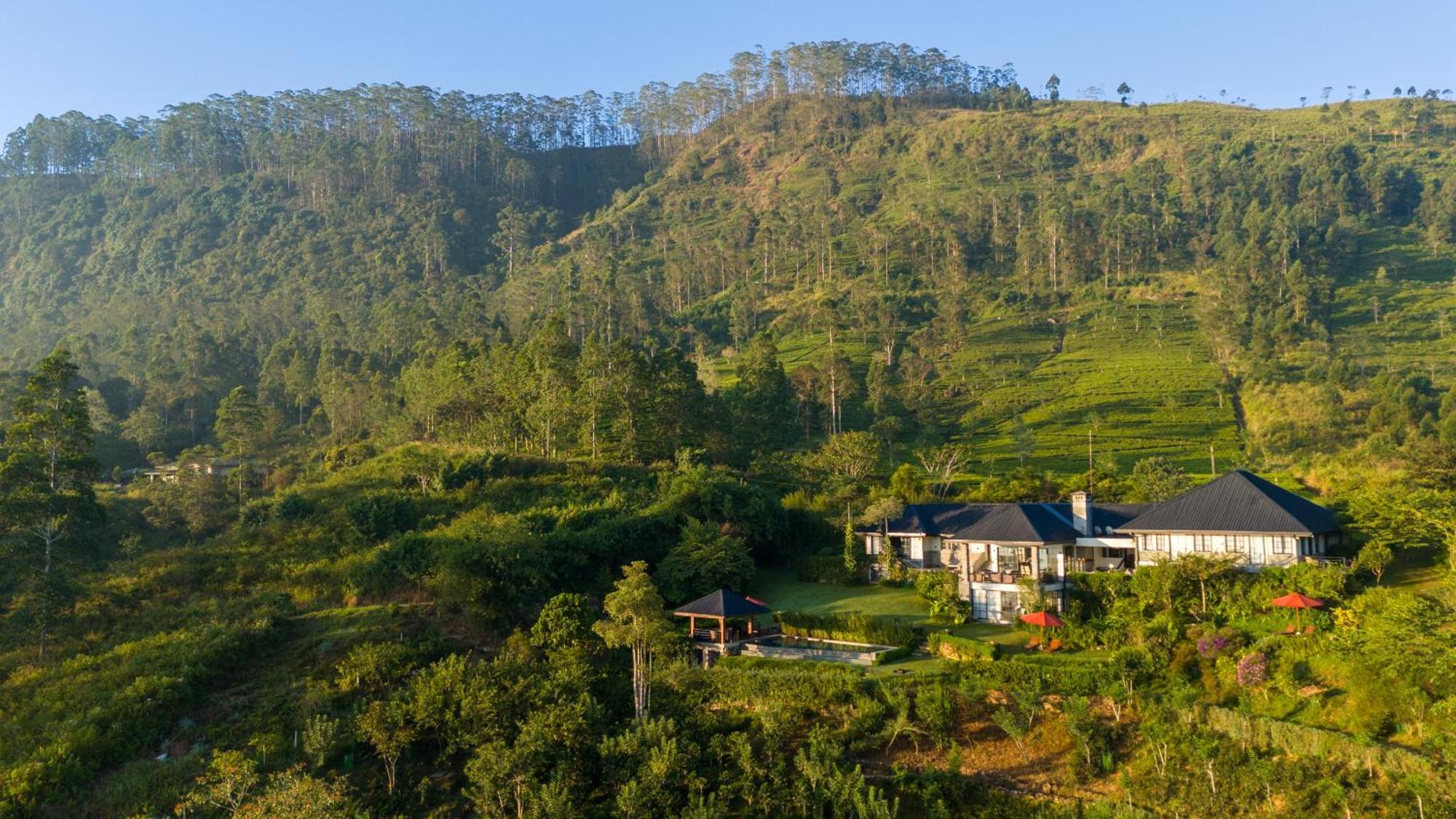 Camellia Hills Hotell Hatton Eksteriør bilde