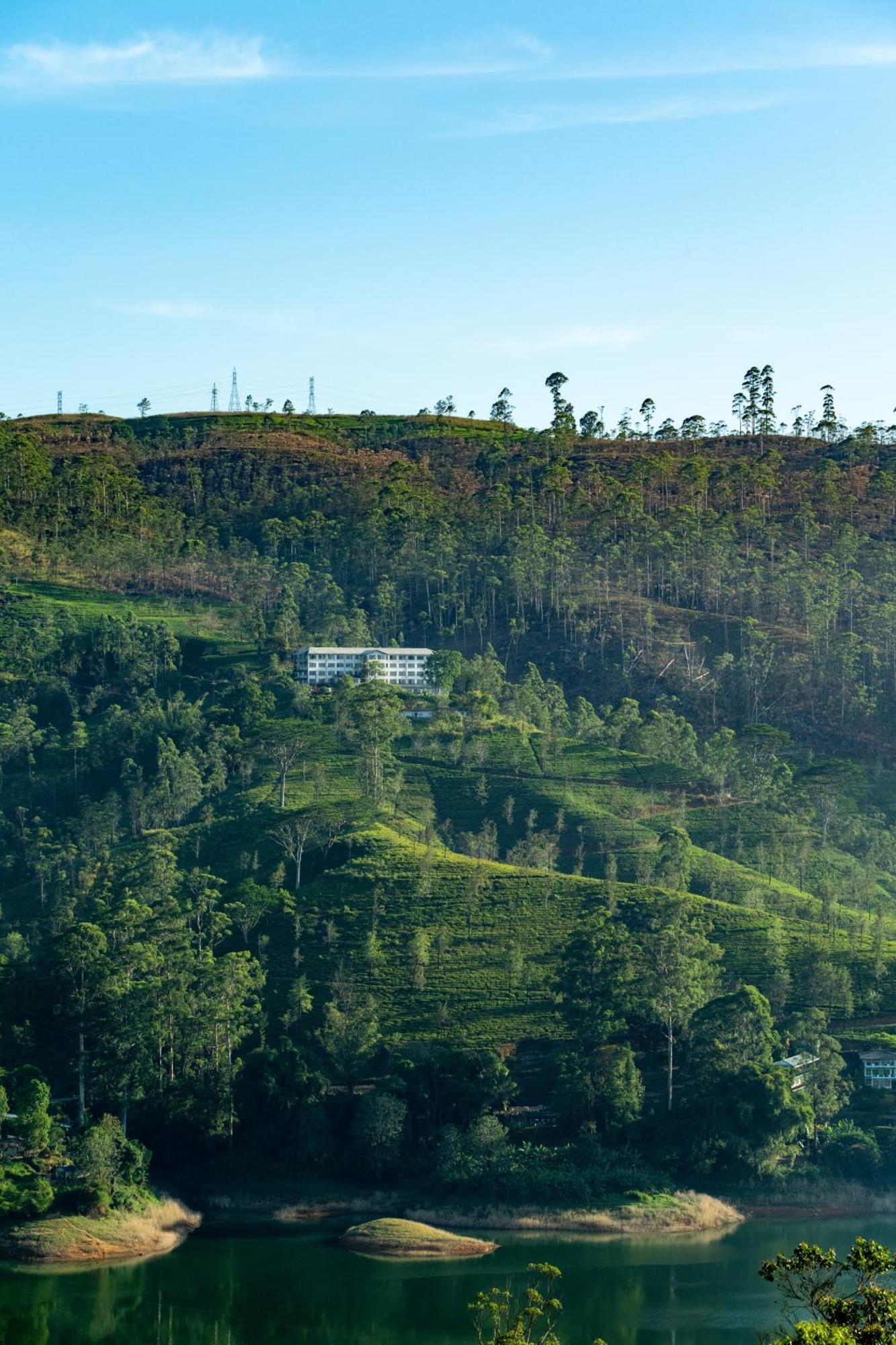 Camellia Hills Hotell Hatton Eksteriør bilde