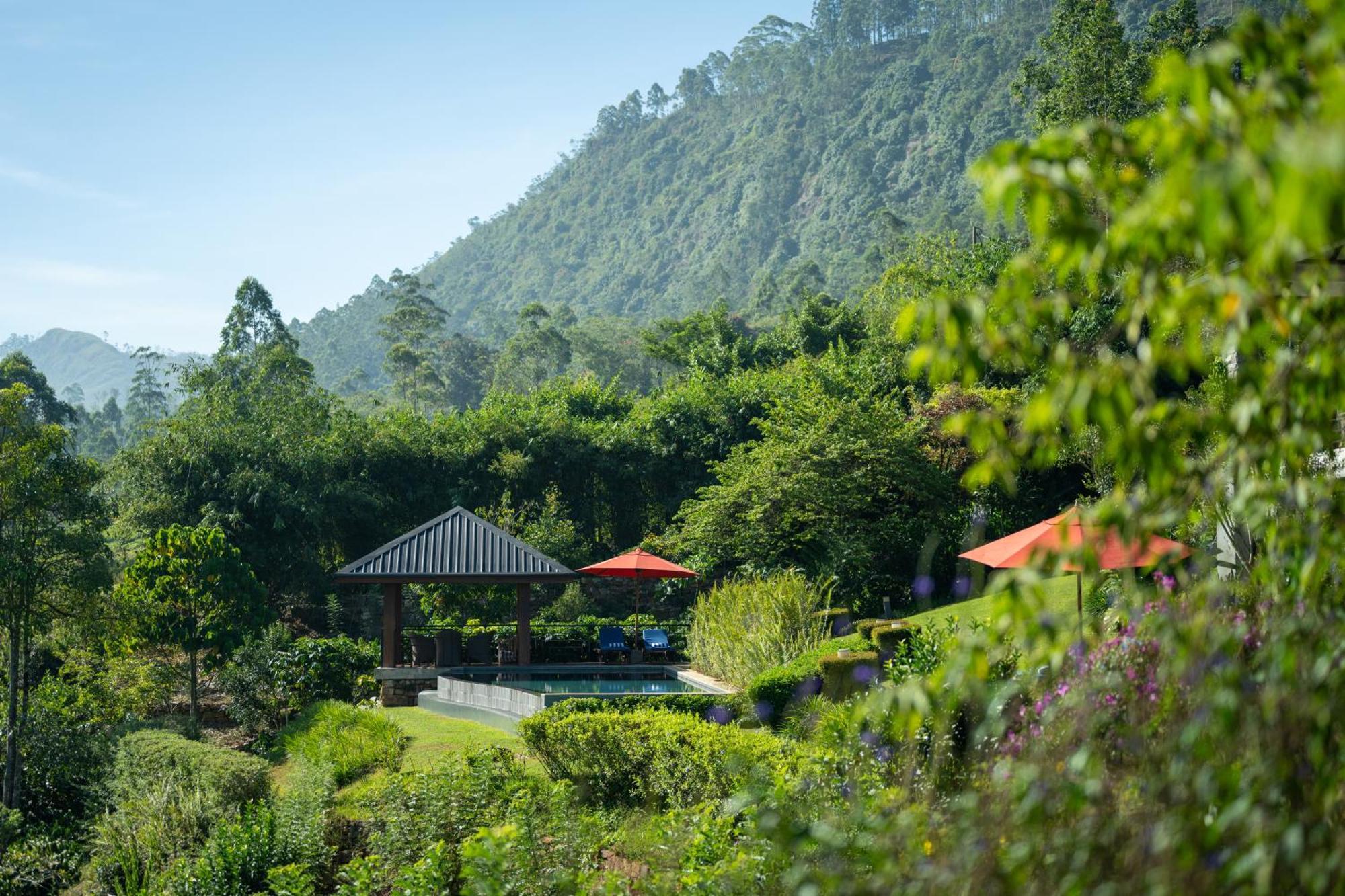 Camellia Hills Hotell Hatton Eksteriør bilde
