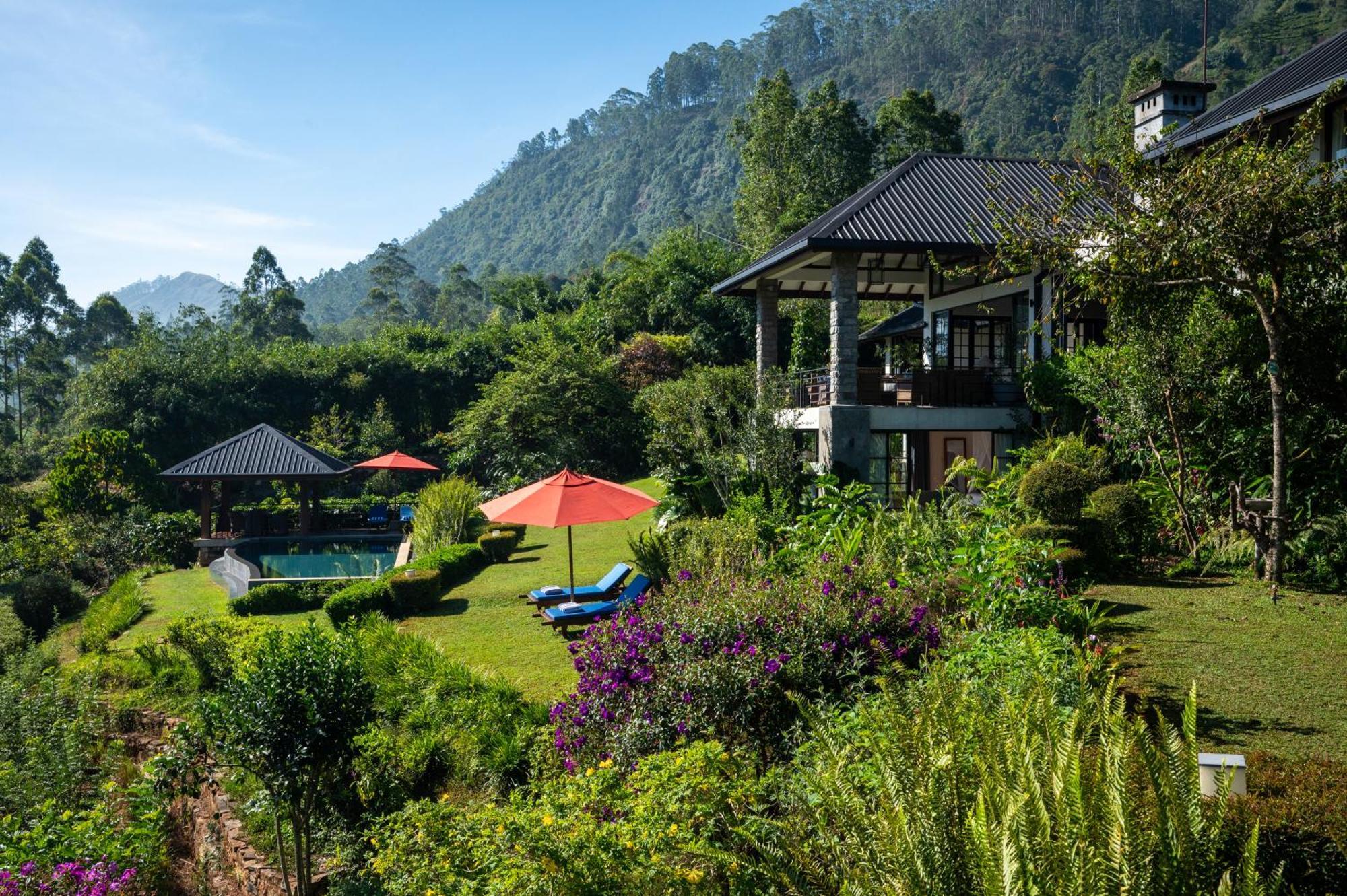 Camellia Hills Hotell Hatton Eksteriør bilde